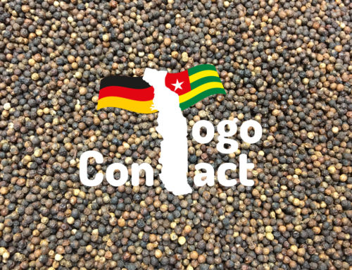 SSL-Verschlüsselung bei Togo-Contact