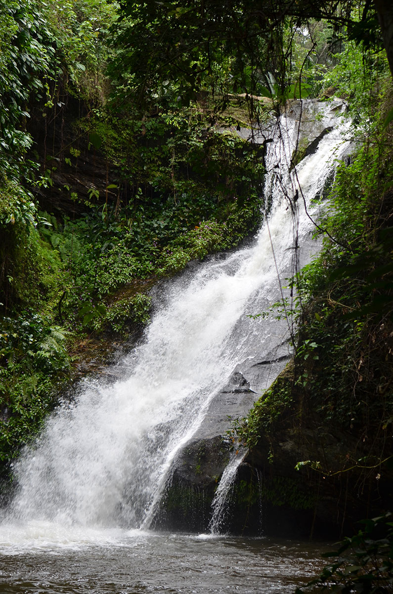 Durch den Urwald zum Wasserfall